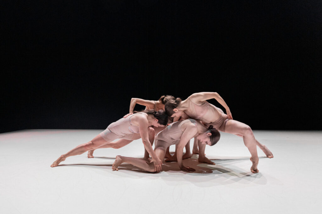 Works | Susanna Leinonen Company | 2026 BODY